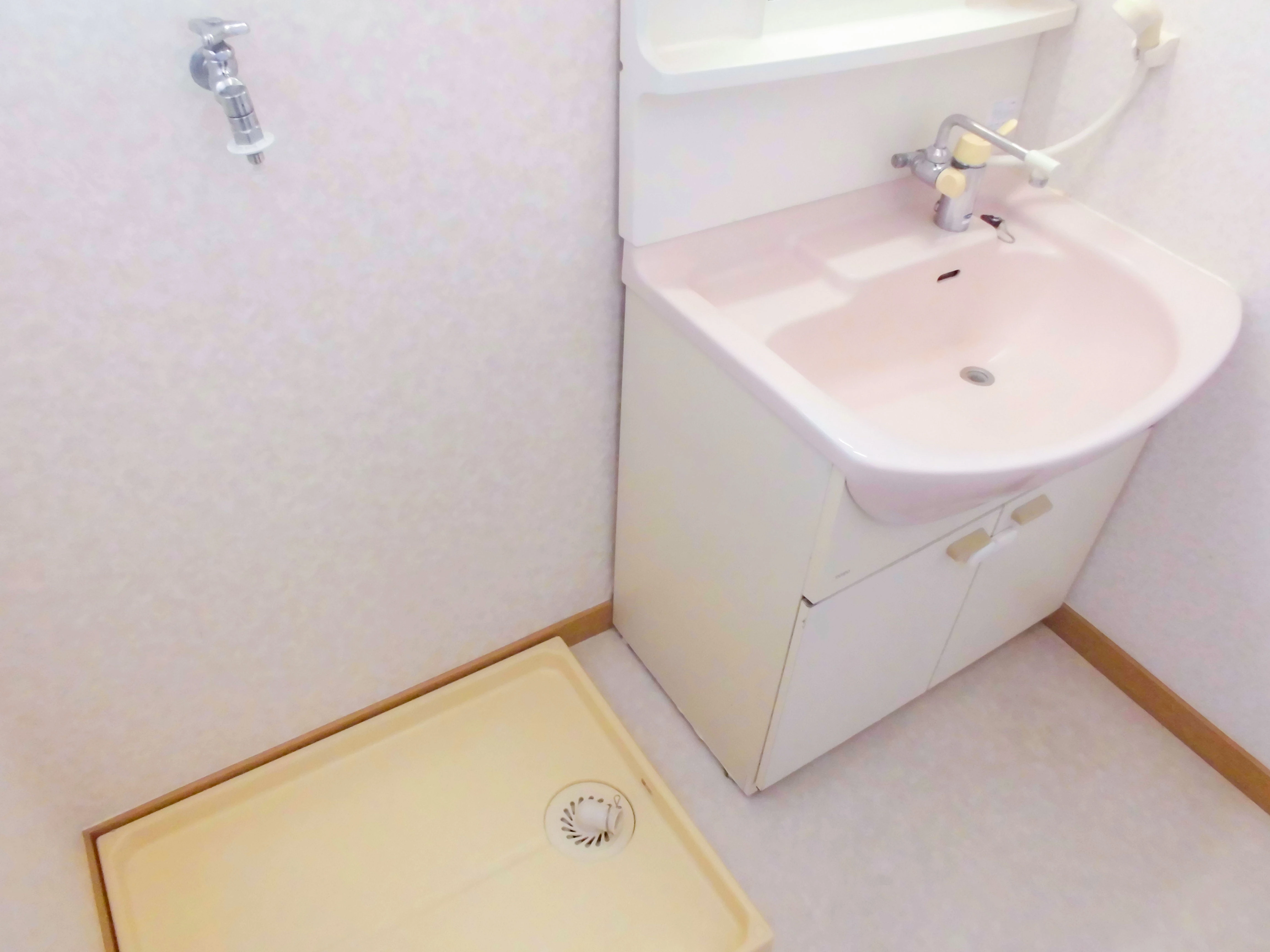 シャンプードレッサー