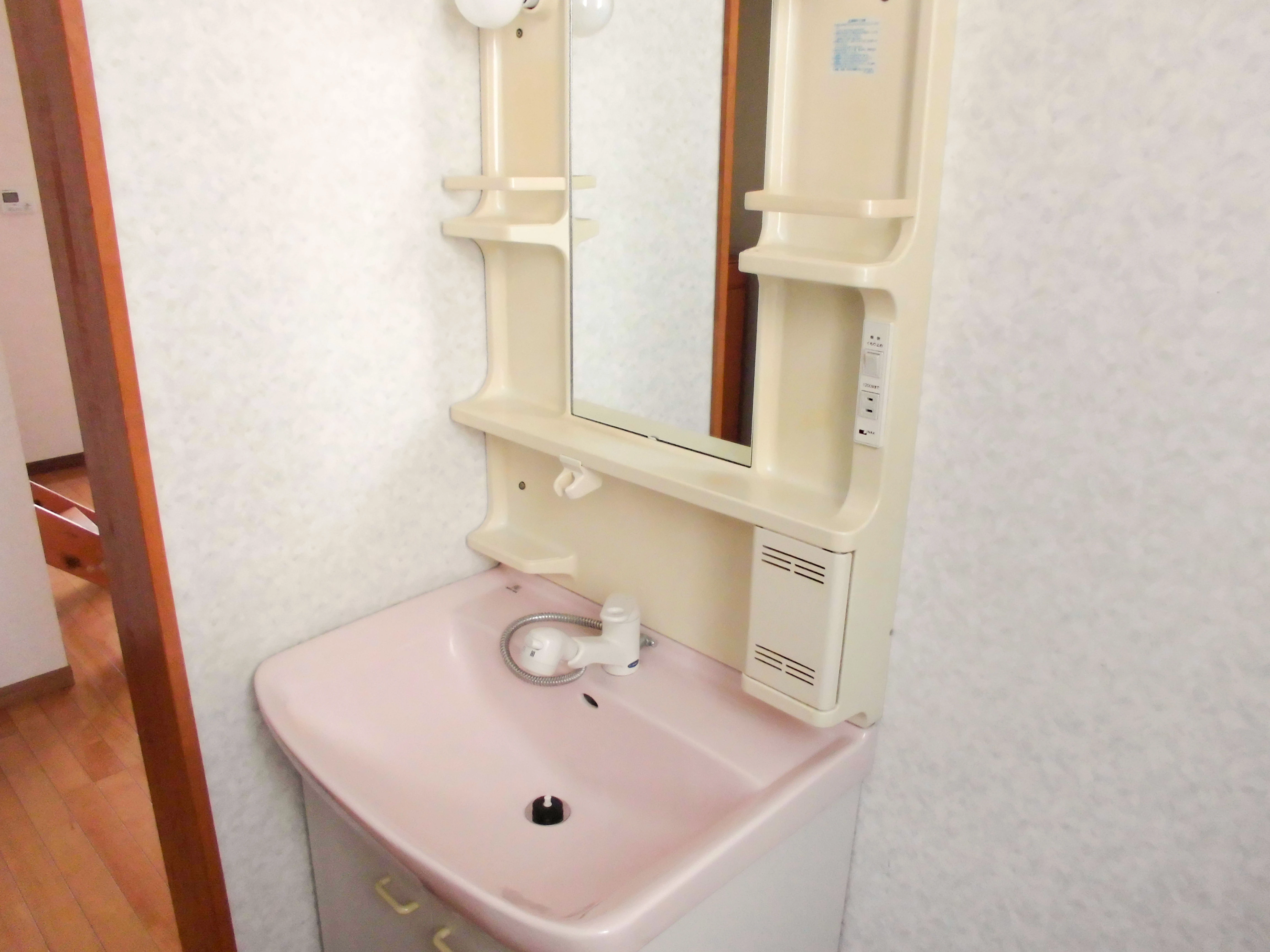 シャンプードレッサー