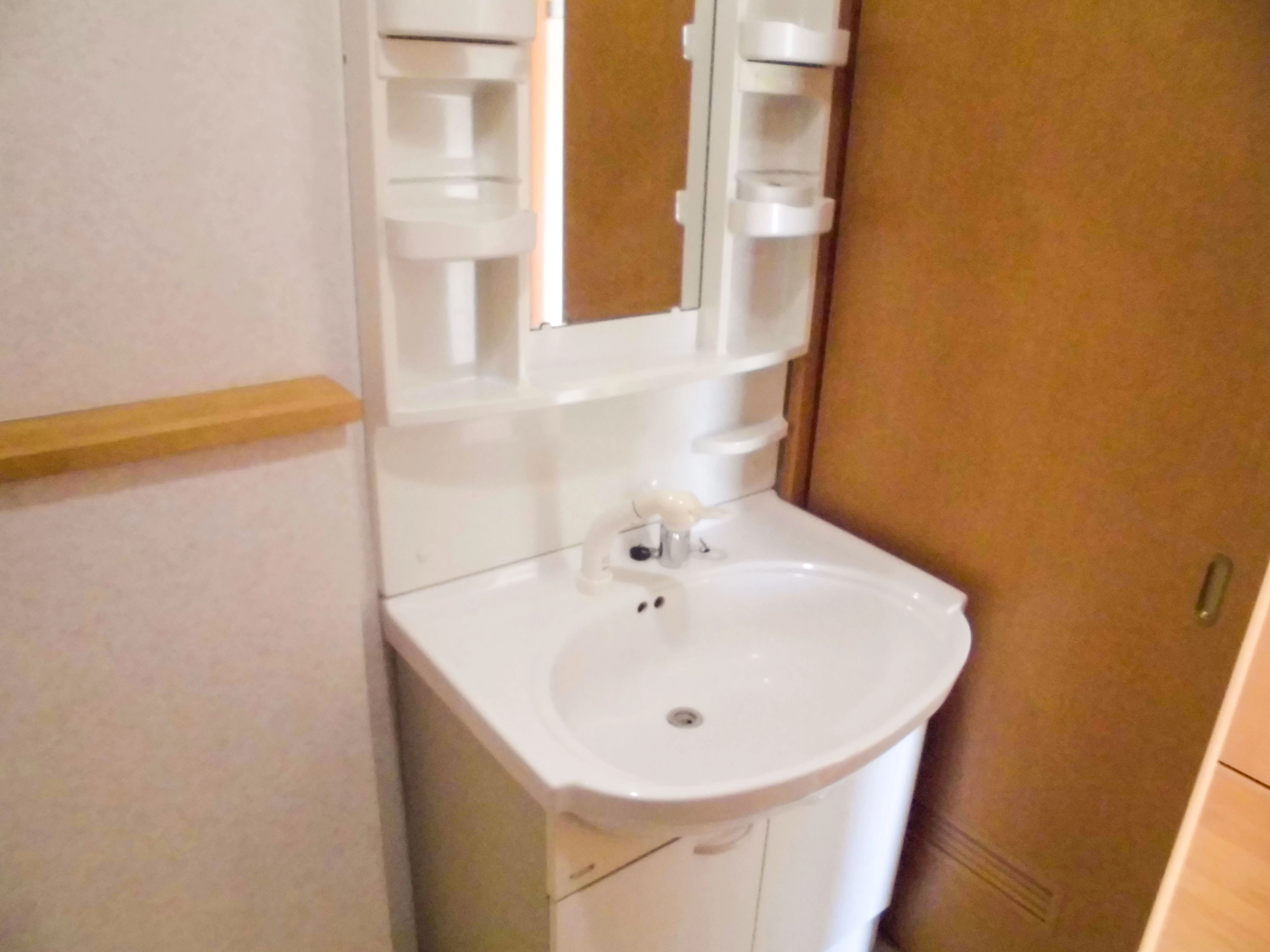 シャンプードレッサー
