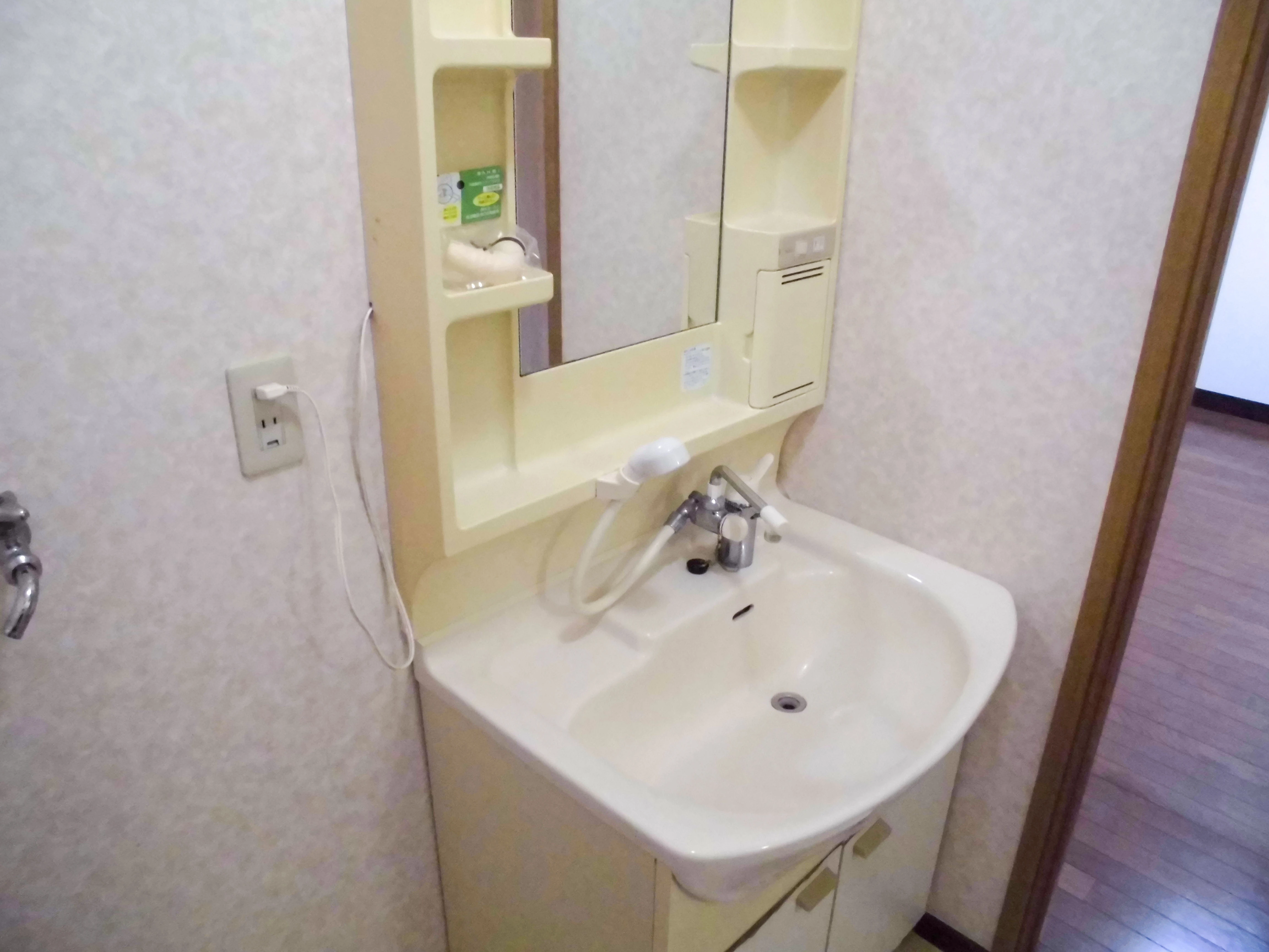 シャンプードレッサー