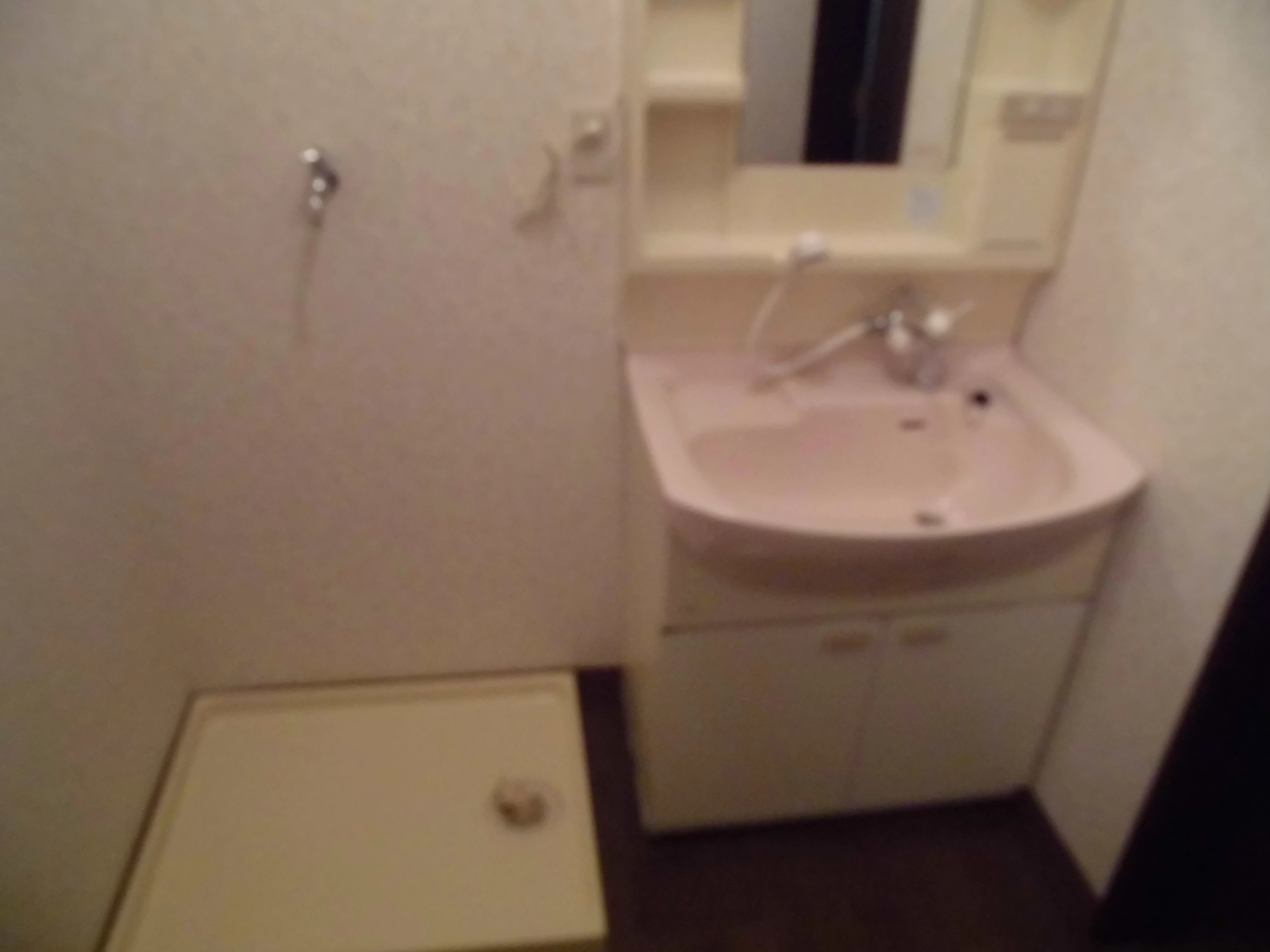 シャンプードレッサー